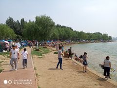 -丁香湖公园