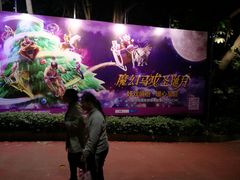 景点-广州长隆国际大马戏