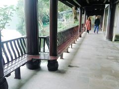 -重庆彩云湖湿地公园