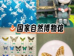 -国家自然博物馆
