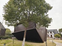 -金山农民画村-枫泾波兰倒置屋