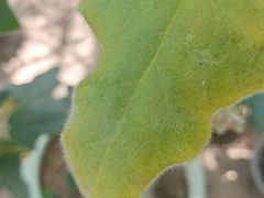 -北京植物园-展览温室