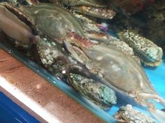 -福娣·金沙银贝海鲜火锅