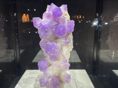 -中国地质大学逸夫博物馆