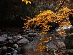 -光雾山旅游景区