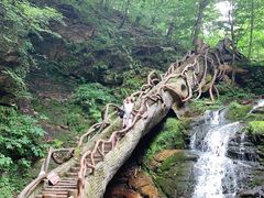 -五女峰国家森林公园