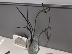 -钱塘花园·宁波菜