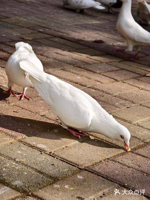 青岛动物园图片