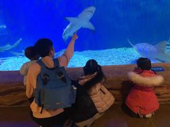 -华夏文旅海洋公园