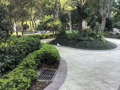-青岛鑫江温德姆酒店