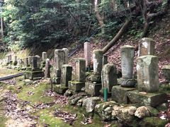 -城崎温泉 外七汤