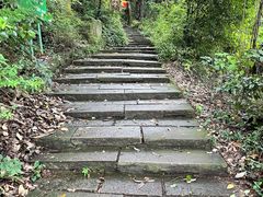 -杭州半山国家森林公园