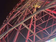 -泰盛楼顶摩天轮