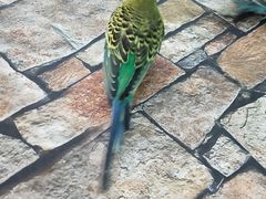 -上海昆虫博物馆