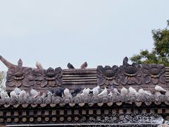 -荣国府