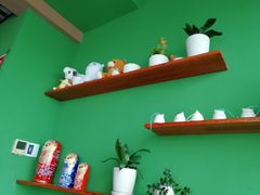 -喵店&猫咖