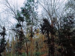 -南京金牛湖风景区