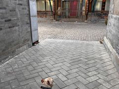 -三里河公园
