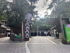 -野象谷景区