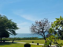 -亚龙湾红树林度假酒店-韩轩韩餐厅