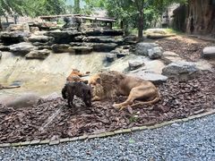 -北京野生动物园