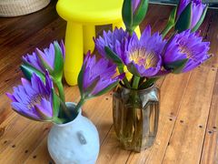 -循礼门鲜花花市(武汉循礼门店)