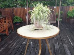 -瓷语堂(上海五维空间创意园店)