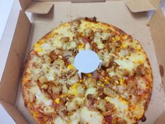 -达美乐比萨(国瑞北路店)