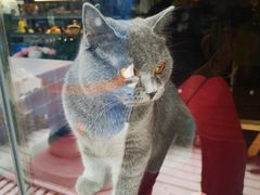 -花与咖啡馆(金星楼店)