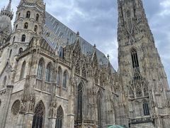 -斯蒂芬主教座堂(Stephansdom)