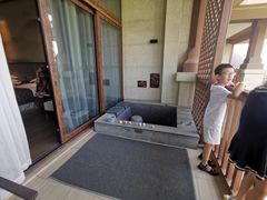 -碧桂园润杨溪谷温泉酒店