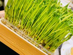 现剪现吃豌豆苗-海底捞火锅(崇文门新世界百货店)