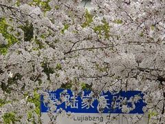 -南浦大桥长途旅游客运站