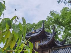 -西园戒幢律寺