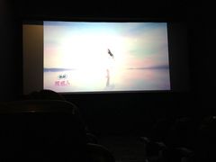 -金逸影城(中关村店)