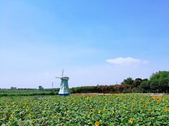 -武汉紫薇都市田园