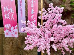 -裕龙汤泉