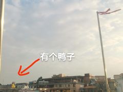 -长洲岛