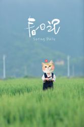 -童真童趣儿童摄影(乐清店)