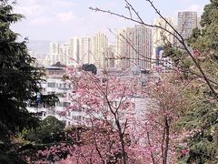 -昆明动物园