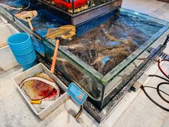 -聚福宝合苑食府(南头镇店)