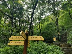 -老象峰
