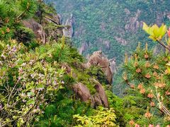 -三清山风景名胜区