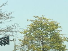 -东莞银行篮球中心