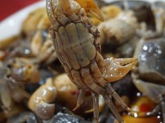 -红灯笼龙凤饭店(宁波老字号店)