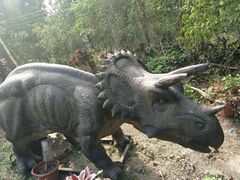 -揭东万竹园旅游景区