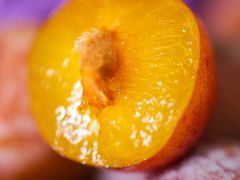 -西郊国际农产品交易中心