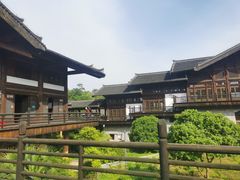 -大唐贡茶院