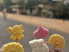 -西双版纳勐泐文化旅游区