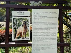 -常州淹城野生动物世界
